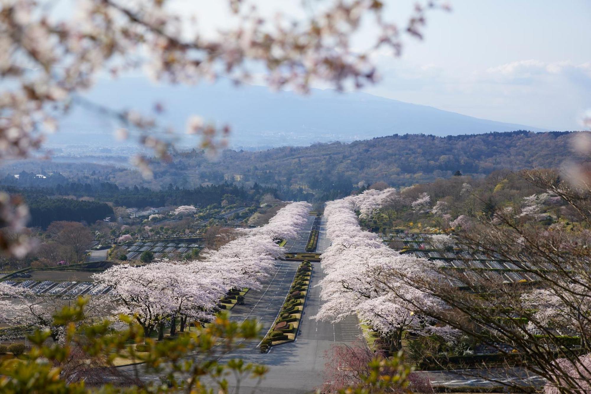 Fuji Speedway Hotel, In The Unbound Collection By Hyatt Oyama  Екстериор снимка